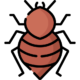bed-bug bed-bug