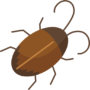 cockroach cockroach