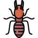 soldier-termite soldier-termite